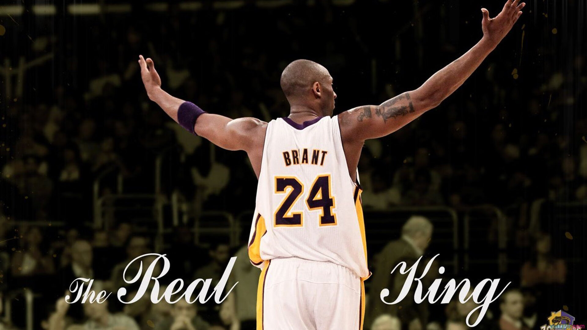 乐鱼体育下载app官网-CBA联赛带动中国体育产业发展，cba发展现状